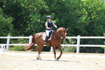 3E7A3126