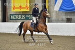 BPP_4557