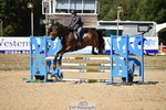 Sunday 23rd Western Counties Arena portfolio