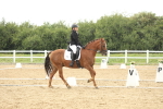 SBM_009623