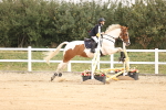 SBM_000463