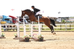 SBM_003616
