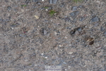 230902A-125824-01151