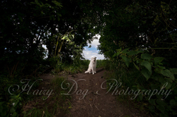 Kasper's Walkies! portfolio
