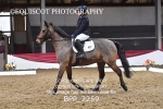 11th JANUARY 2026 - DRESSAGE - MUIRMILL EC portfolio