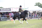 SBM_11179