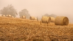 Autumn 5 Foggy Haybales 1115