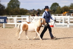 SBM_14237