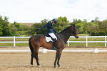 SBM_007784