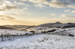Shutlingsloe under snow (5)