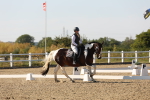 SBM_006995