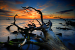 z1036 Bouldnor Sunset