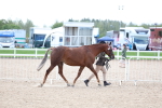 SBM_15345
