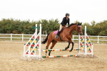 SBM_007612