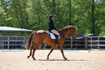 WJ6_9810