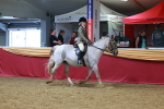 SBM_05175