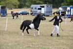 WJ6_5332