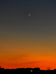 Moonset over Milford - 2