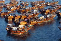 KM-50 Fishing junks in Cheung Chau - 1984