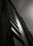 Catch Light 1