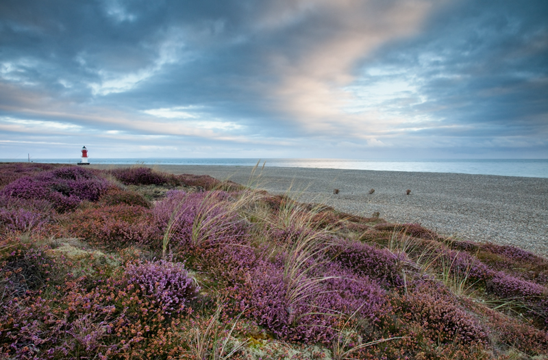 Coastal Colours