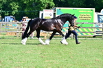 SBM_10148