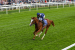 160524-Race 4-Economics-1874