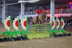 SBM_006658