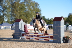 SBM_14034