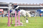 BPP_6669