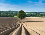 Wexford portfolio