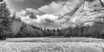 Frozen Lake Panorama