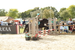 SBM_46636