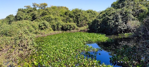 2 View from Transpananeira