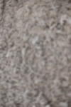 SBM_003020