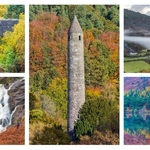 Workshops & Tours portfolio