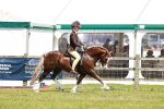 SBM_15829