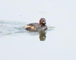 20140503-3K8A0746
