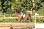 SBM_15441