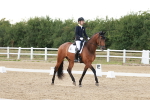 Class 16 - PYO Advanced portfolio