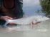 Bonefish Side On 2010.