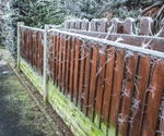 Frost by Mick Graystone