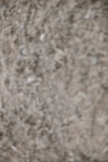 SBM_003021