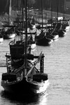 B&W Wine rabelos