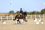 SBM_013195