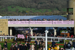 130326-Race 5-Gaelic Warrior-2985