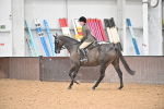 Class 22 - BSHA Ridden Hack & Riding Horse portfolio