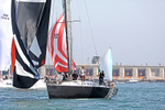 190629 ANTICIPATION GBR7041R D43A1217