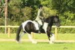 SBM_67462