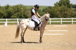 SBM_008565
